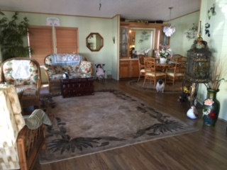 Island In The Sun100 Hampton Rd,Lot 277Clearwater, FL 33755