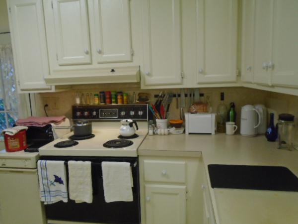 Island In The Sun100 Hampton Rd. #190Clearwater, FL 33759