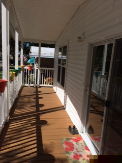 Island In The Sun100 Hampton Rd #311Clearwater, FL 33759