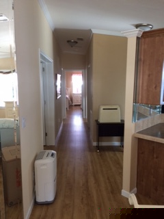 Island In The Sun100 Hampton Rd #311Clearwater, FL 33759