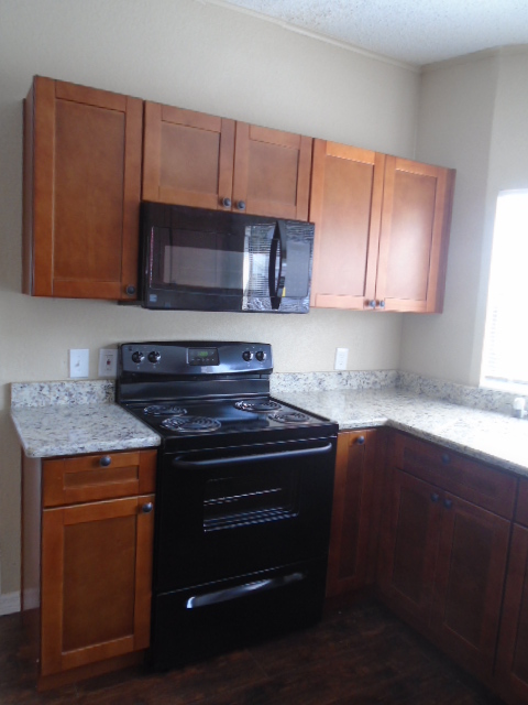 Island In The Sun100 Hampton Rd #256Clearwater, FL 33759