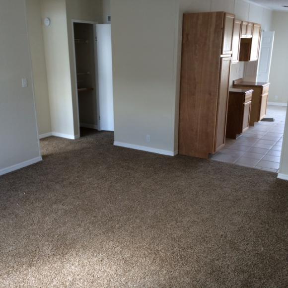 Island In The Sun100 Hampton Rd #270Clearwater, FL 33759