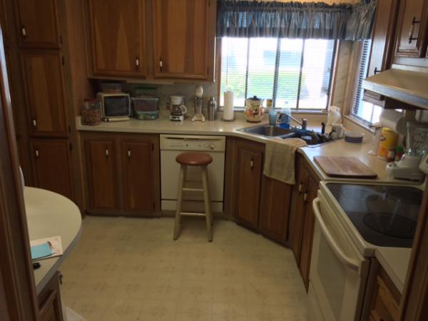 Island In The Sun100 Hampton Rd #275Clearwater, FL 33759