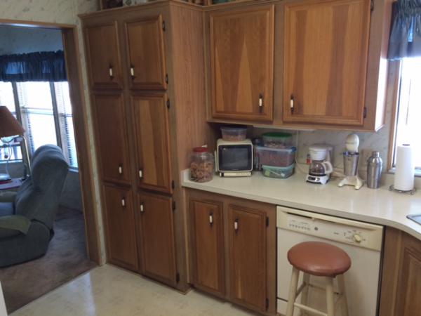 Island In The Sun100 Hampton Rd #275Clearwater, FL 33759