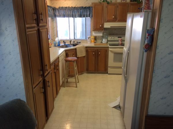 Island In The Sun100 Hampton Rd #275Clearwater, FL 33759