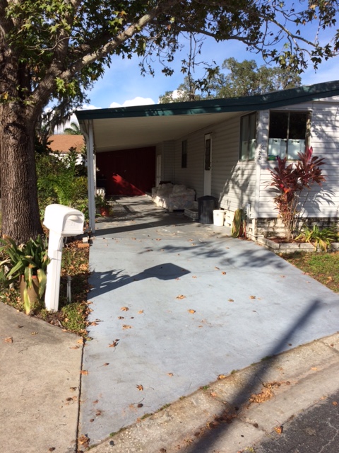 Island In The Sun100 Hampton Rd #22Clearwater, FL 33759