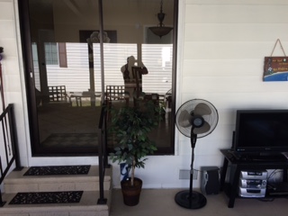 Island In The Sun100 Hampton Rd #89Clearwater, FL 33759