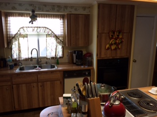 Island In The Sun100 Hampton Rd #15Clearwater, FL 33759