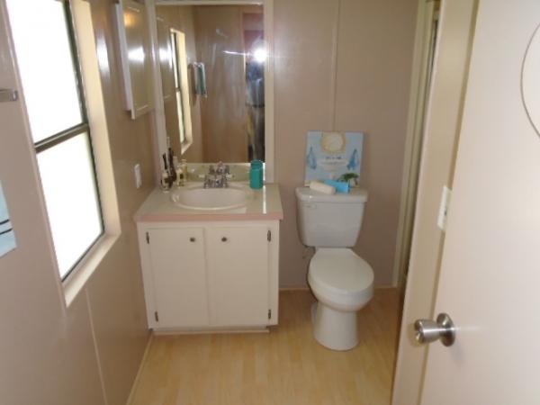 Island In The Sun100 Hampton Rd #233Clearwater, FL 33759