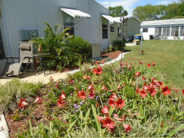 Island In The Sun100 Hampton Road #57Clearwater, FL 33759