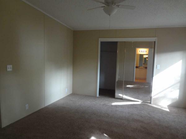 Island In The Sun100 Hampton Rd #276Clearwater, FL 33759