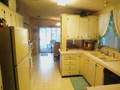 Island In The Sun100 Hampton Rd #245Clearwater, FL 33759