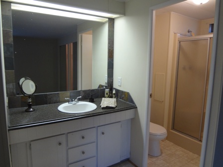 Island In The Sun100 Hampton Rd #63Clearwater, FL 33759