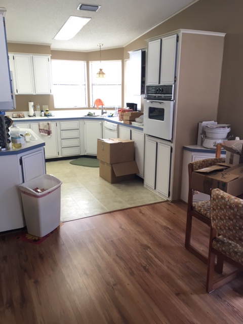 Island In The Sun100 Hampton Rd, Lot 297Clearwater, FL 33759