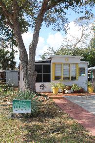 Clearwater Travel Resort 2946 Gulf to Bay blvdClearwater, FL 33759