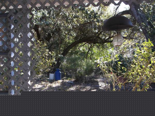 Serendipity Mobile Home Park29081 US 19N #29AClearwater, FL 33761