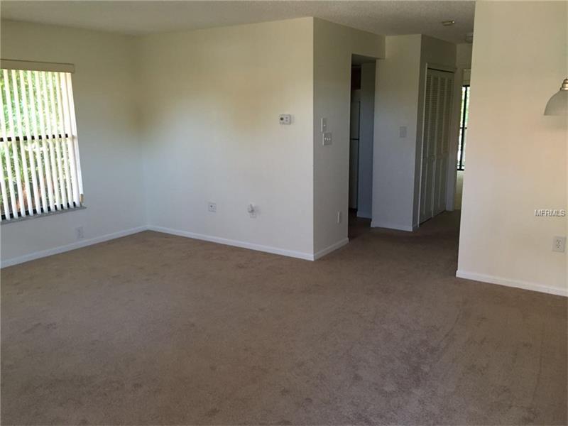 1510 HAMMOCK PINE BOULEVARD, Clearwater, FL 33761