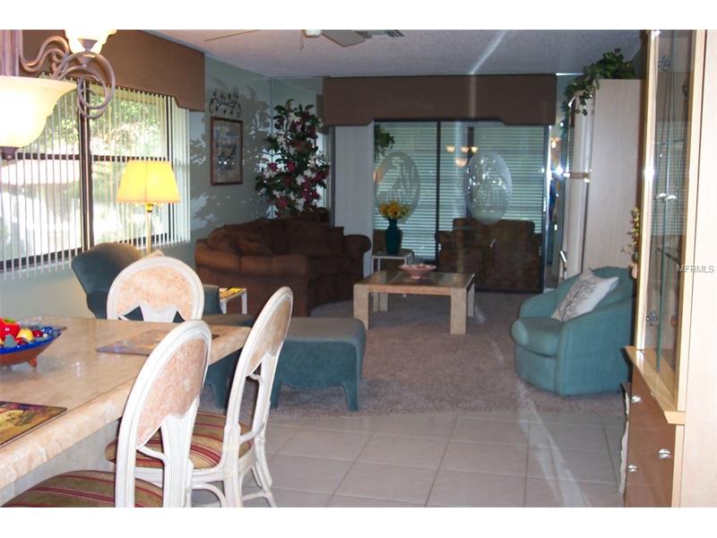 2013 HAMMOCK PINE BOULEVARD, Clearwater, FL 33761