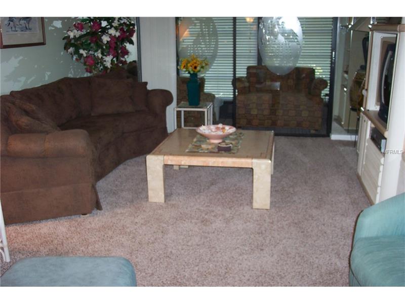 2013 HAMMOCK PINE BOULEVARD, Clearwater, FL 33761