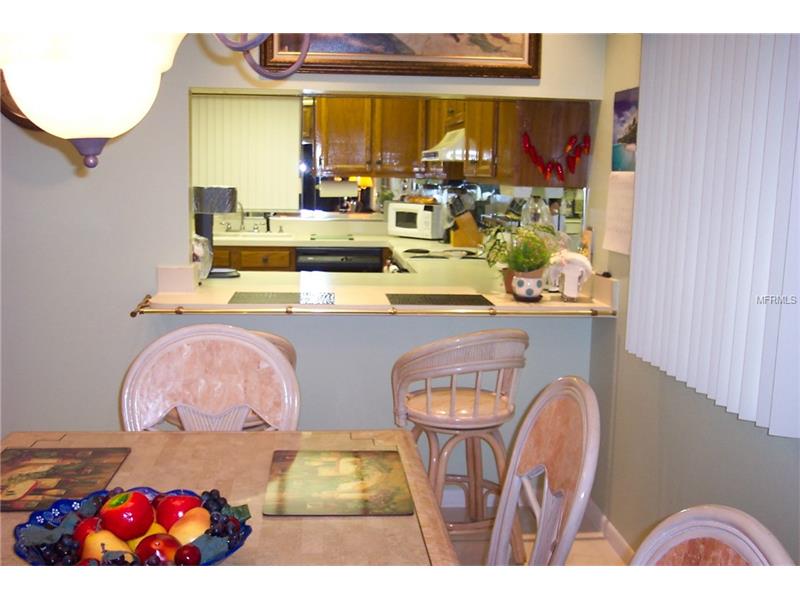 2013 HAMMOCK PINE BOULEVARD, Clearwater, FL 33761