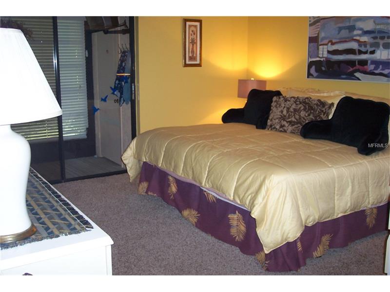 2013 HAMMOCK PINE BOULEVARD, Clearwater, FL 33761