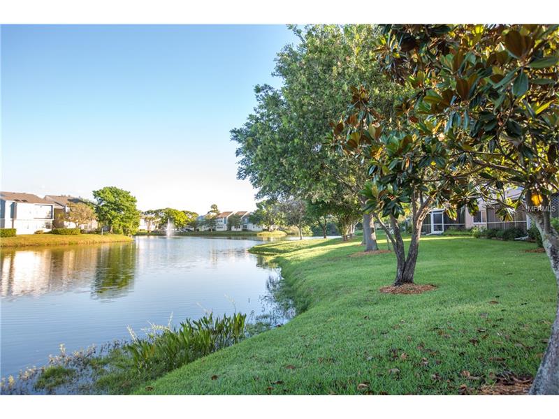 13570 LAKE POINT DRIVE S, Clearwater, FL 33762