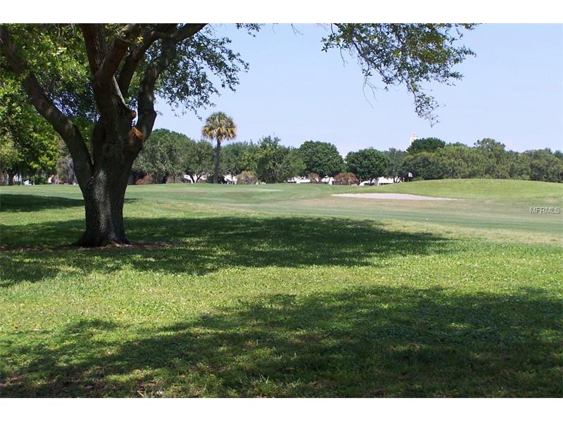 2458 FLORENTINE WAY, Clearwater, FL 33763