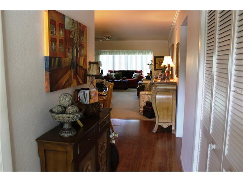 2351 IRISH LANE, Clearwater, FL 33763