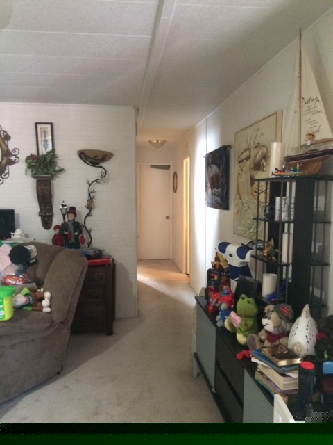 Japanese Garden Mobile Estates1206 TEAHOUSE DRClearwater, FL 33764