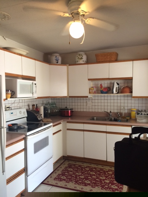 Japanese Garden Mobile Estates1206 TEAHOUSE DRClearwater, FL 33764