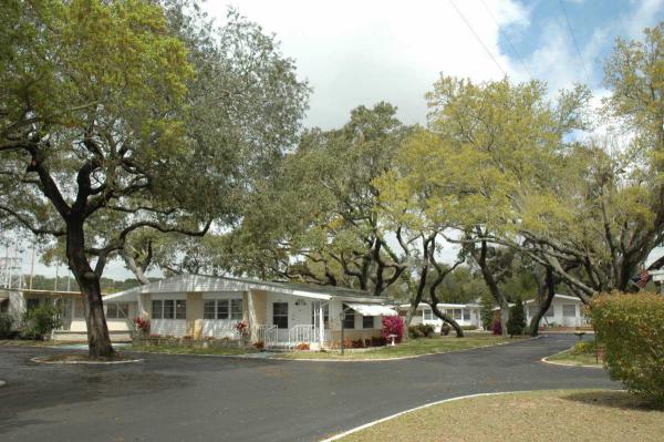 South Gate Home Owners, Inc.20000 US Highway19N #619Clearwater, FL 33764