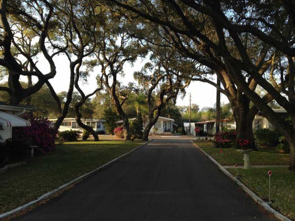 South Gate Home Owners, Inc.20000 US Highway19N Lot # 708Clearwater, FL 33764