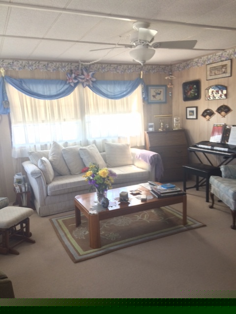 Serendipity Mobile Home Park29081 US 19 NClearwater, FL 33767