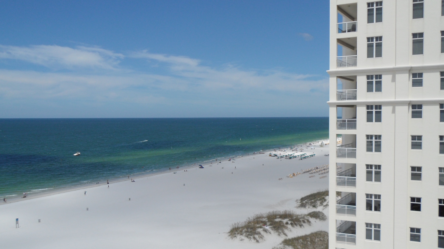 10 Papaya St #1102, Clearwater, FL 33767