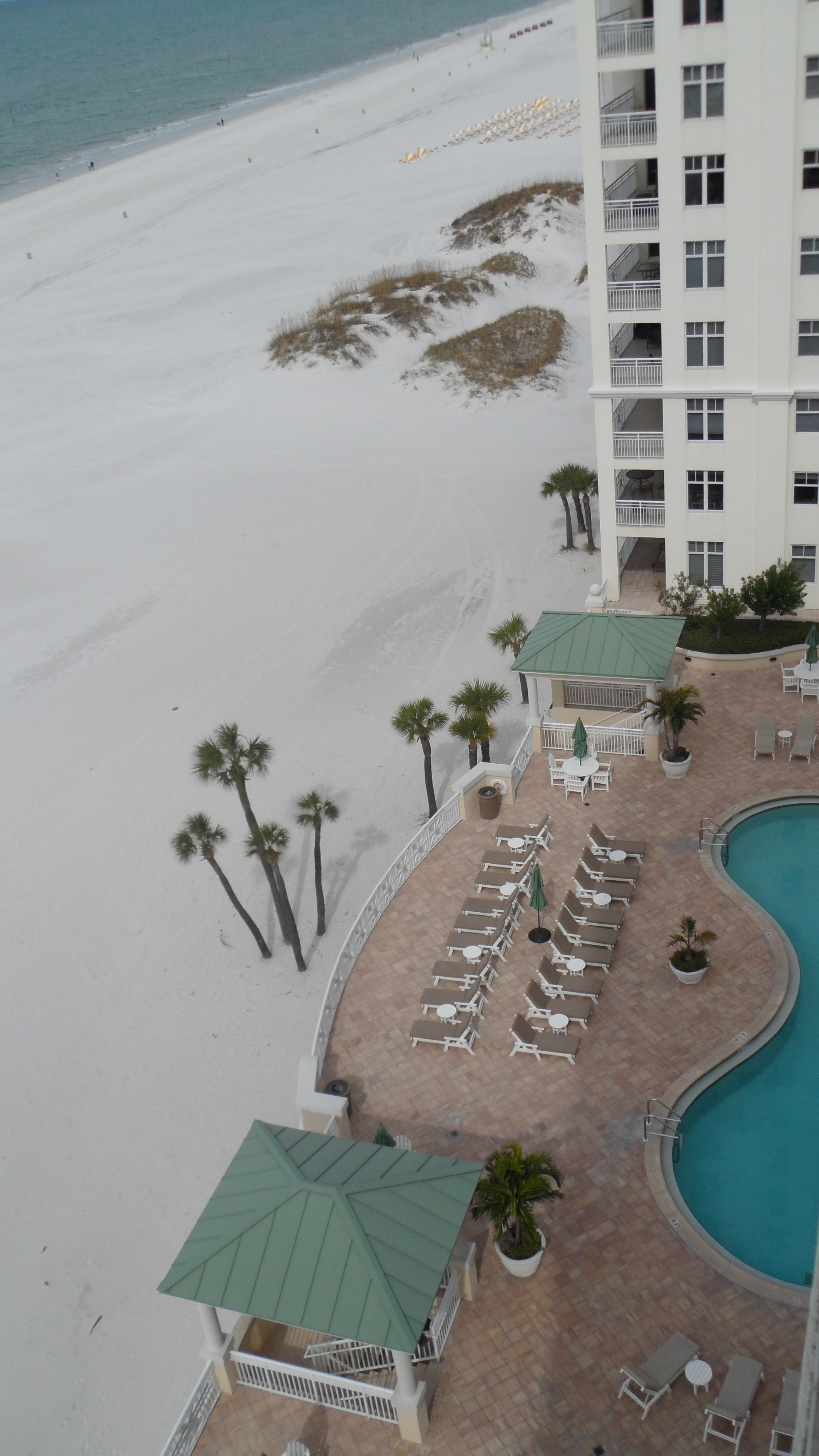 10 Papaya St #1102, Clearwater, FL 33767