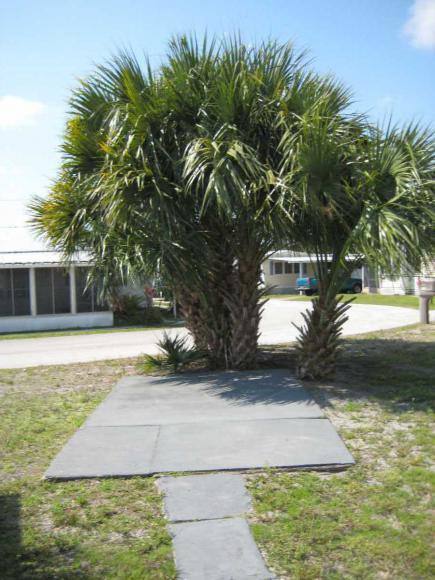 Sun Seair Mobile Home Park 6372 126th Ave. N.Largo, FL 33773