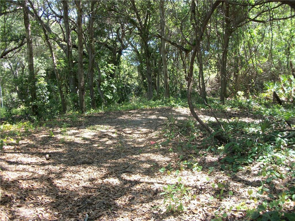 Virginia Ln, Largo, FL 33773
