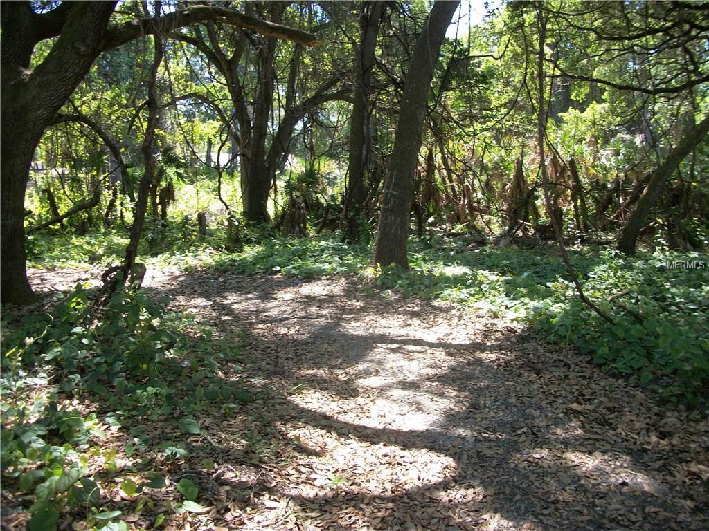 Virginia Ln, Largo, FL 33773