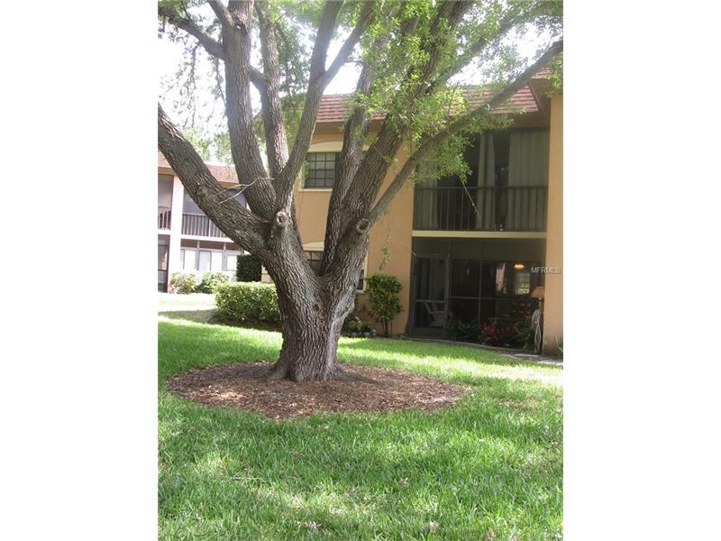Largo, FL 33774