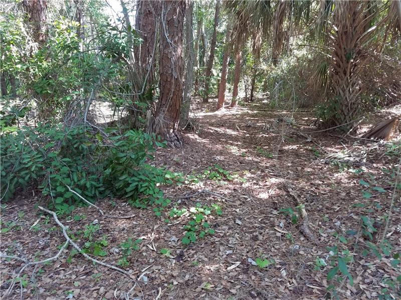 12653 74TH AVENUE, Seminole, FL 33776