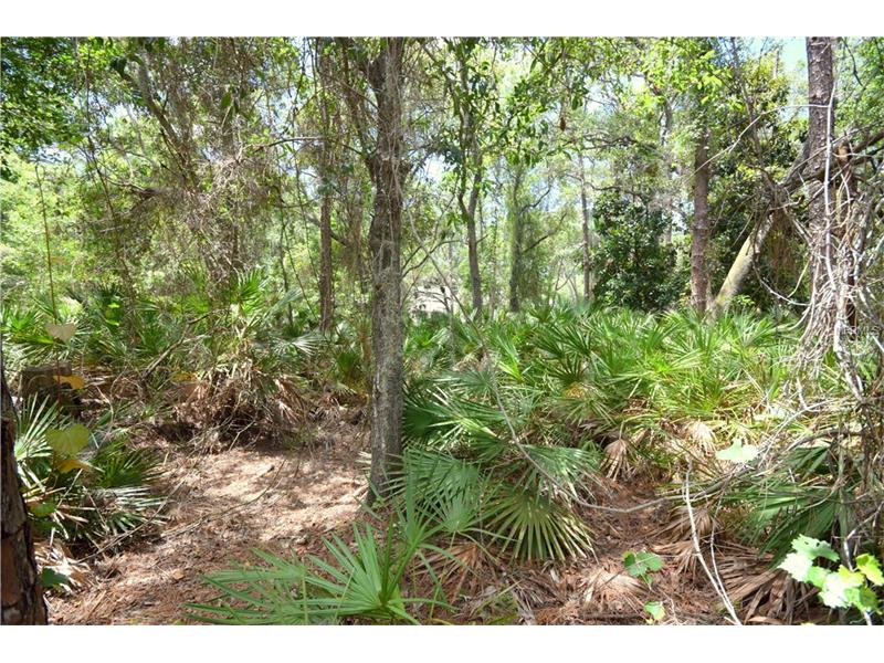 0 OLD OAKHURST ROAD, Seminole, FL 33776