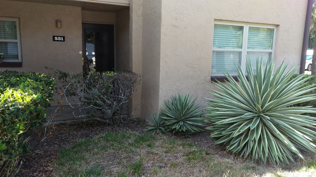 7701 Starkey Rd. #531, Seminole, FL 33777