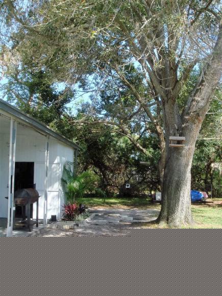 Golden Gate Residents 7399 81st Terrace NorthPinellas Park, FL 33781