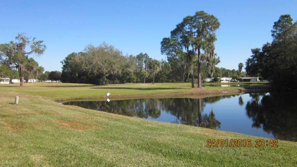 Schalamar Creek1483 Deverly DriveLakeland, FL 33801