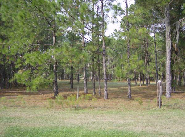 Schalamar Creek1634 Deverly DriveLakeland, FL 33801