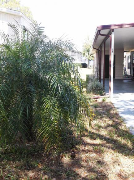Pine Ridge Estates7405 N. Socrum Loop Rd. Lot 68Lakeland, FL 33809