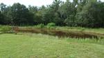 2131 PIONEER DR