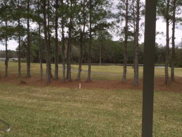 Cypress Lakes2256 Big Cypress BlvdLakeland, FL 33810