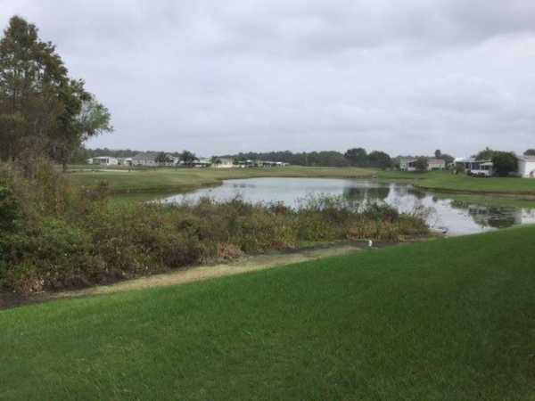 Cypress Lakes2967 Dollar Bonnet LaneLakeland, FL 33810