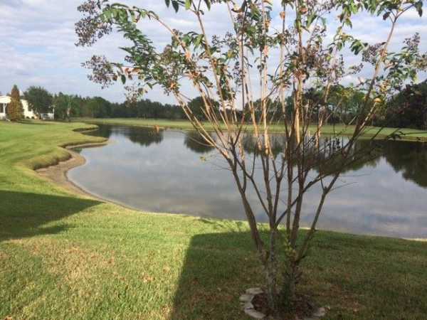 Cypress Lakes9919 Killdeer LaneLakeland, FL 33810